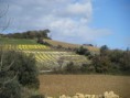 /album/galeria-de-fotos-retrato-ambiental-de-loures/precurso-alrota-arpim-jpg/